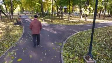 一个老人独自在公园里散步的航拍镜头